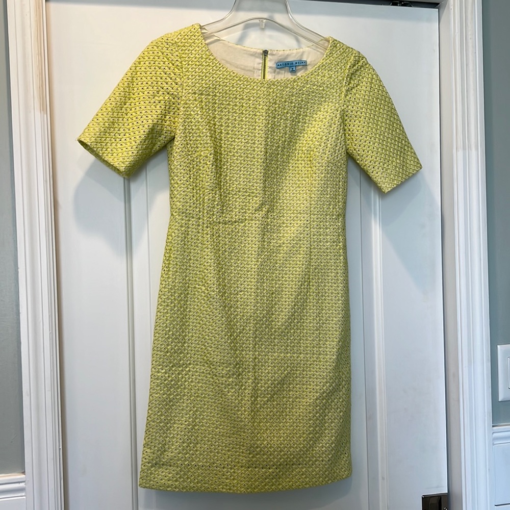 Embroidered Antonio Melanie Dress